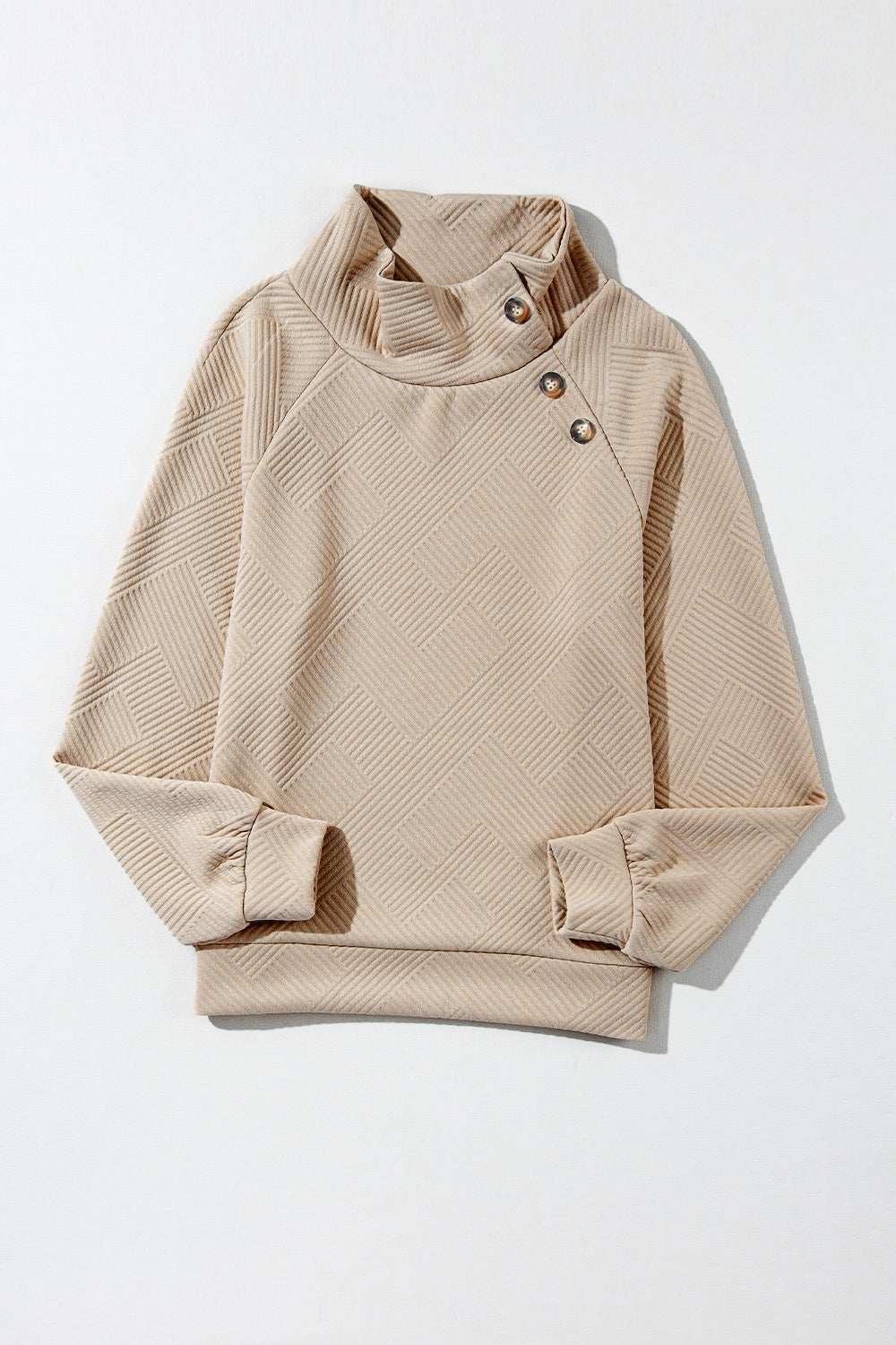 Turtleneck Sweatshirt